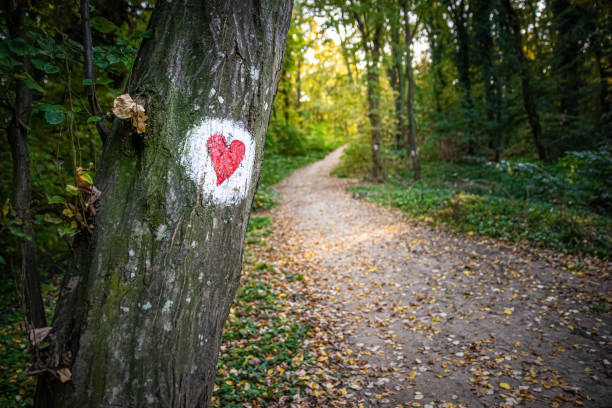 Heart Tree