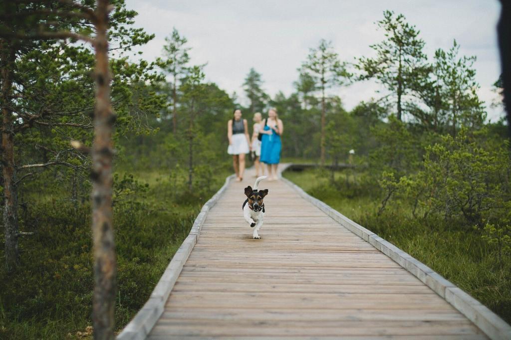 Nature Park in Fenton