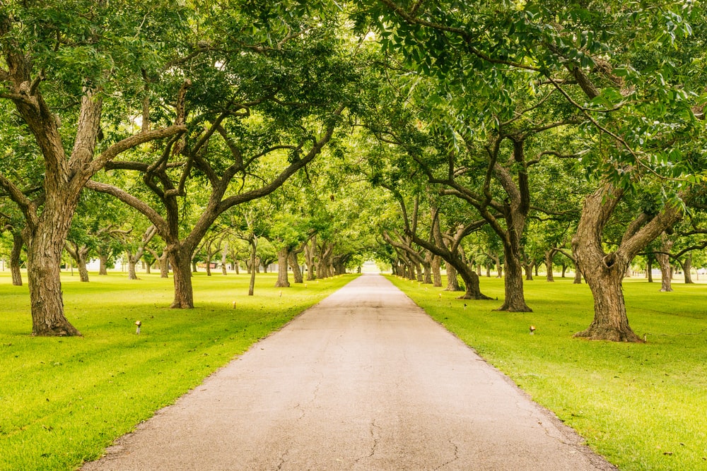 Silver Lake Park