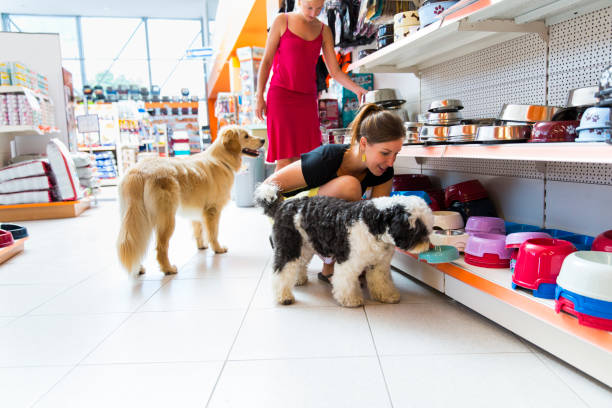 Cute Golden retriever and Tibetan Terrier,buying new pet bowl