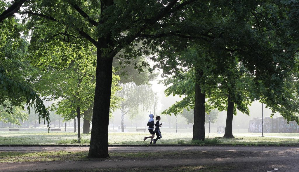 jogging park