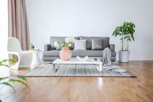Indoor Home