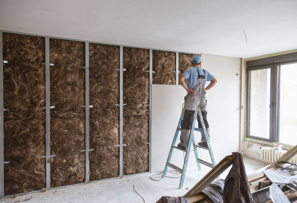 Insulating the Mobile Home Walls